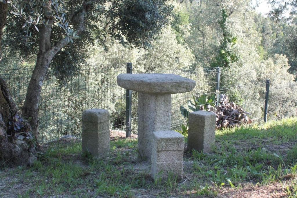 Cantinho Da Pereira Lugar 外观 照片